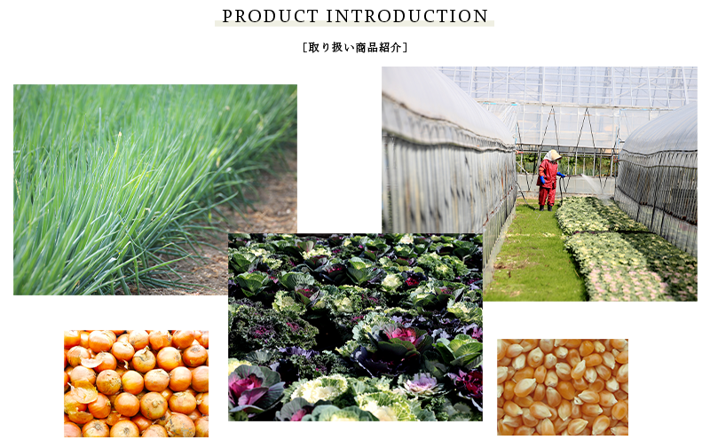 正八農園の取扱い商品